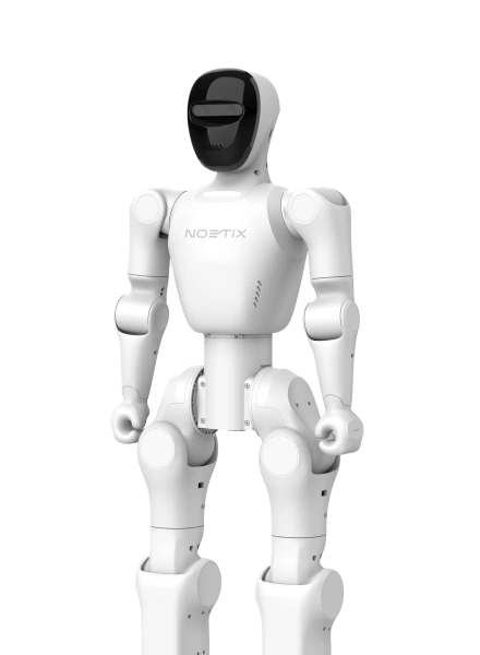 Bumi hero image